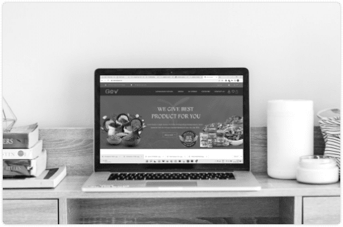 Web app development