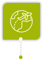 Web Design Company